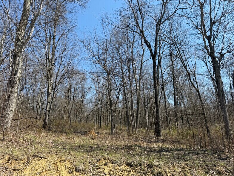 More Photos Of 0 Kragel Rd, Wintersville Land For Sale