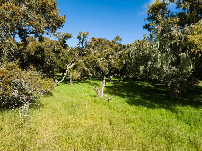 More Photos Of 7855 Old Careaga Ranch Rd, Santa Maria Land For Sale