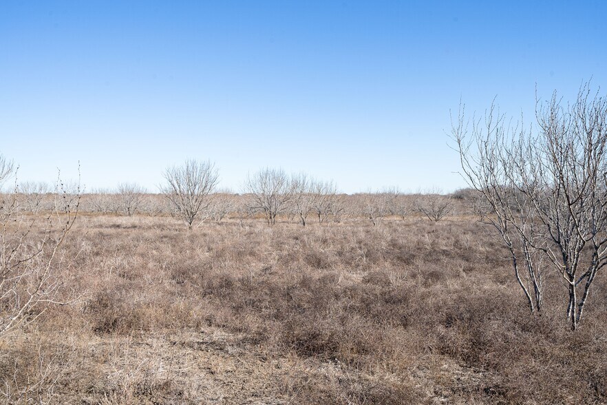 More Photos Of TBD Richards Dr, Del Valle Land For Sale