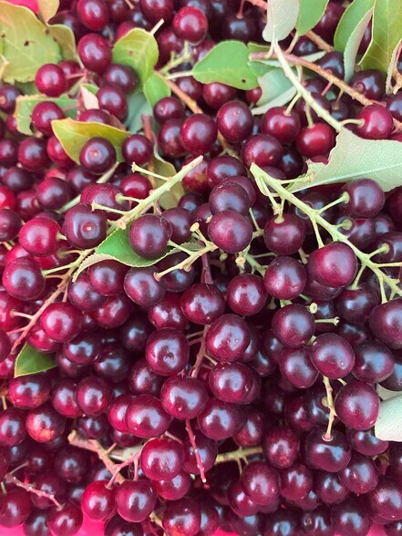 More Photos Of 157 Hergenrider Rd, Bridger Land For Sale