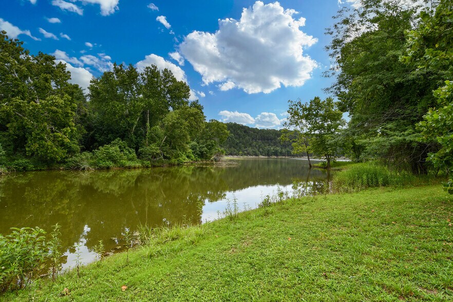 More Photos Of 29668 Farm Road 1268, Golden Land For Sale