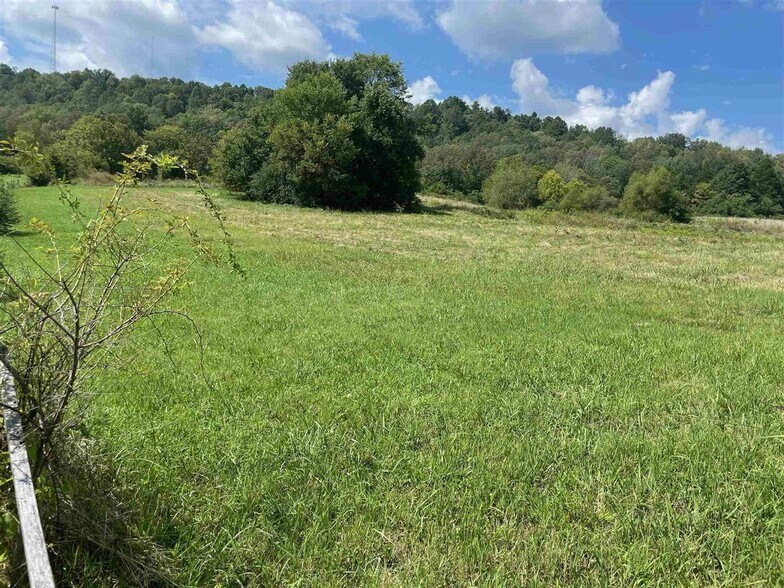 More Photos Of 391 Old Dixie Hwy, Horse Cave Land For Lease