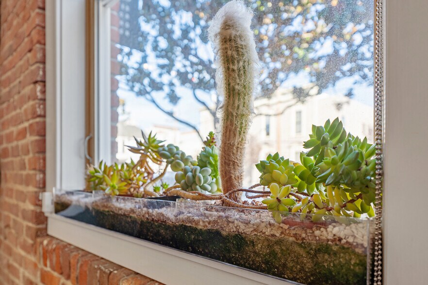 More Photos Of 720 York St, San Francisco Office For Sale