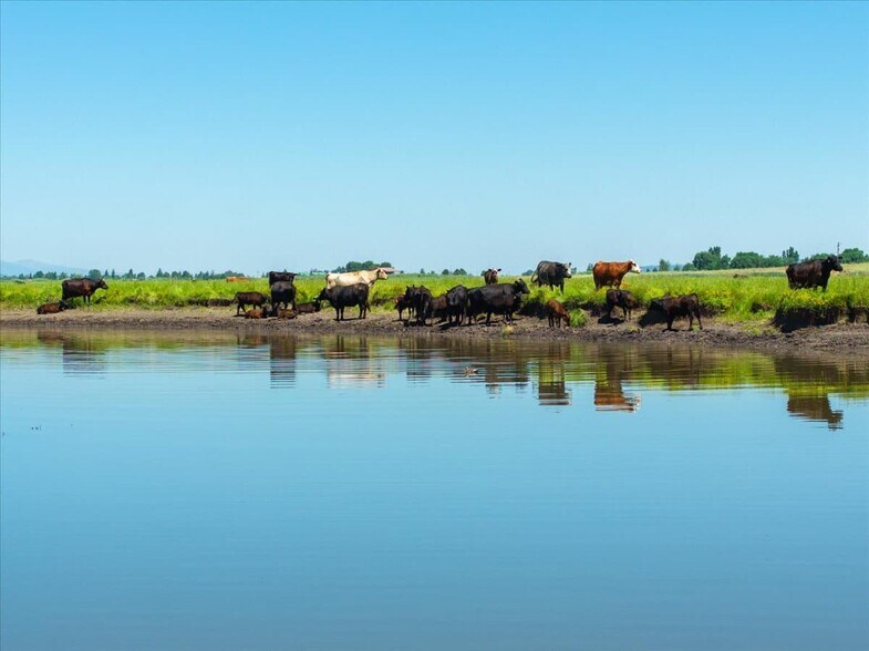 More Photos Of 0000 Punkin Center Road, Bieber Land For Sale