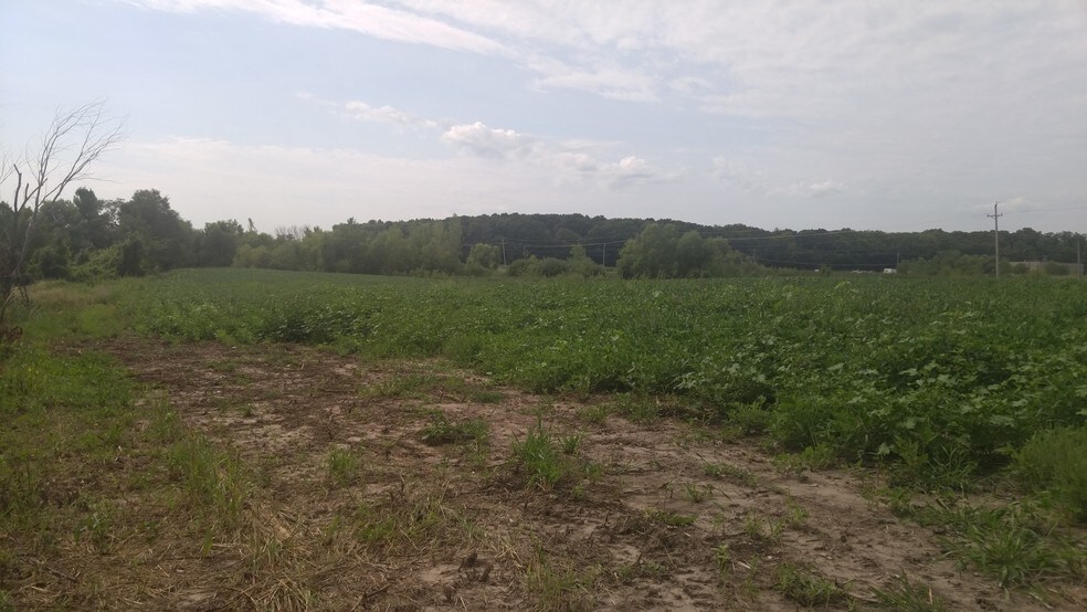 More Photos Of 13085 Brockton Ln N, Rogers Land For Sale