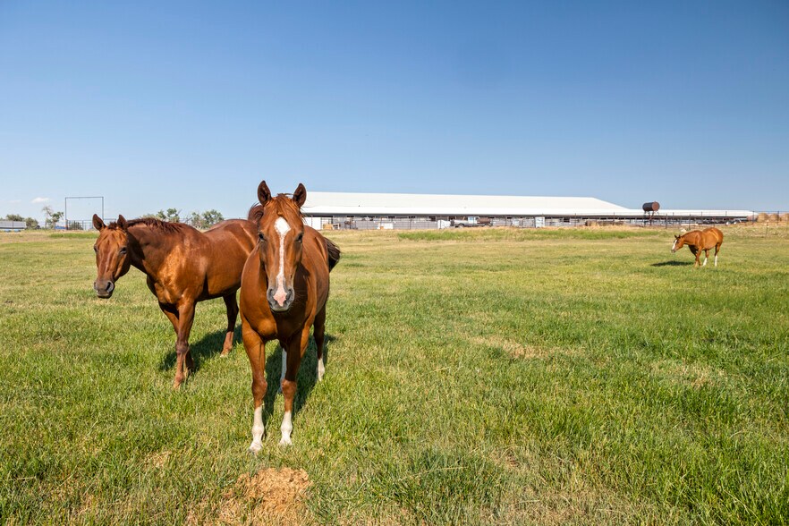 More Photos Of 210 Sybille Creek Rd, Wheatland Horse Stables For Sale