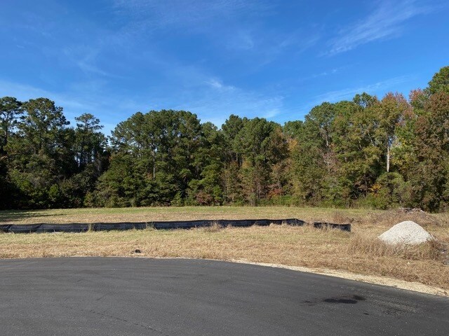 More Photos Of 50 Wise Ct, Richmond Hill Land For Sale