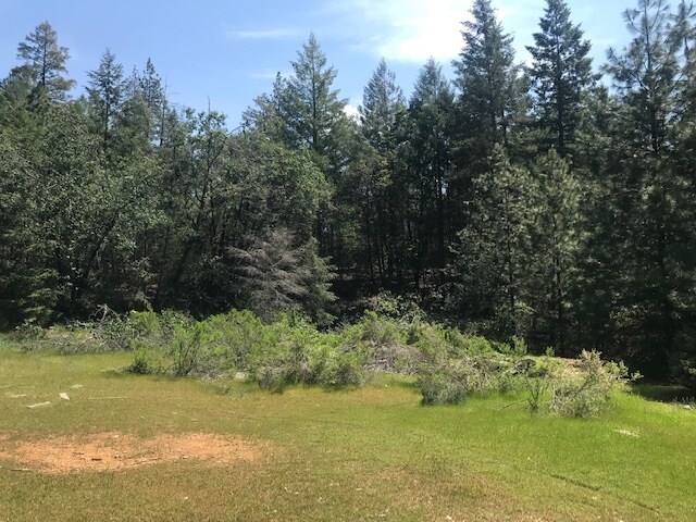 More Photos Of Canyon Creek Drive -1 @ Canyon Way, Colfax Land For Sale