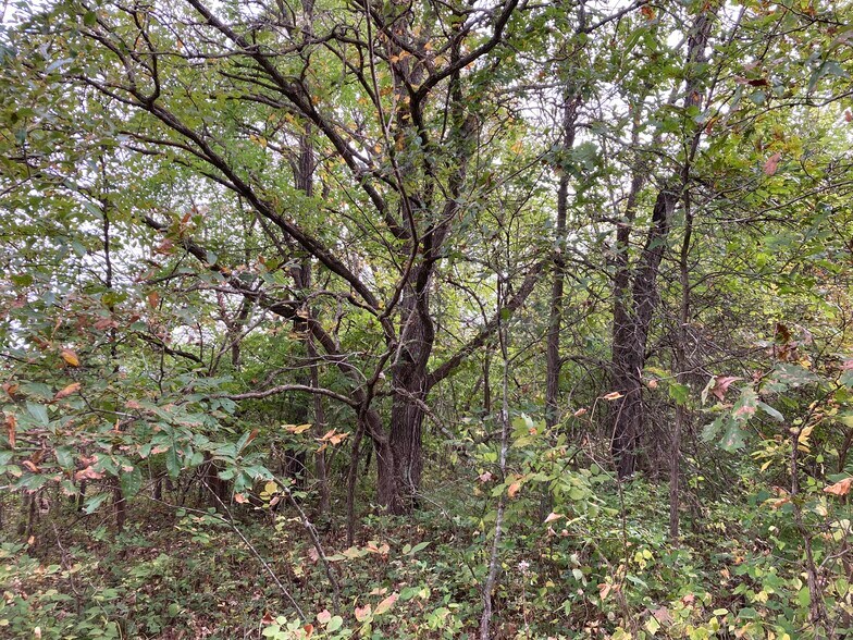 More Photos Of 22413 Highway C, Lawson Specialty For Sale