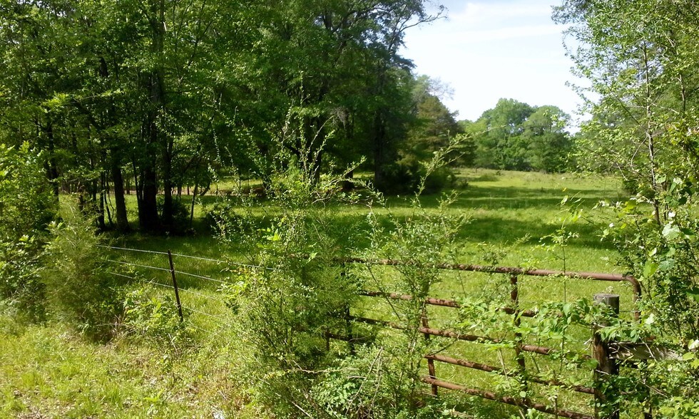 More Photos Of 7011 Hwy 22, Montevallo Land For Sale