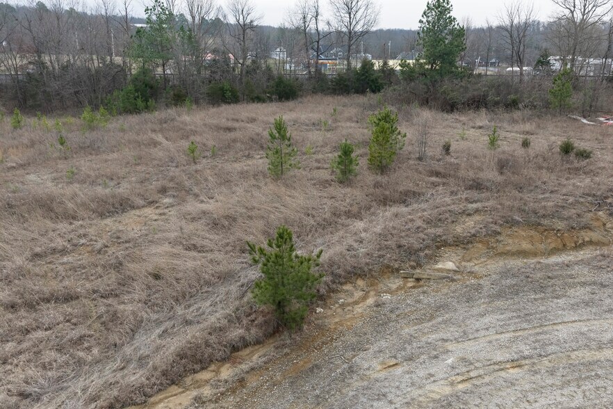 More Photos Of 149 Kim Ln, Leitchfield Land For Sale