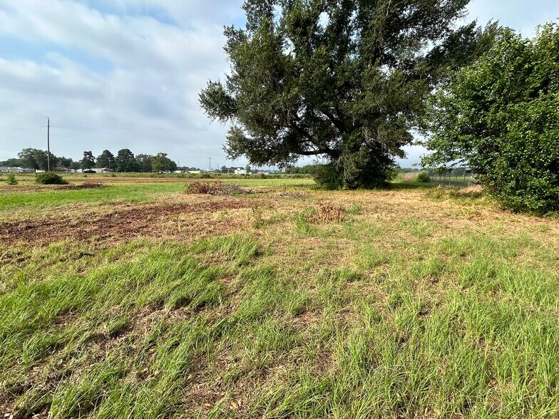 More Photos Of South US Hwy 79/84, Palestine Land For Sale