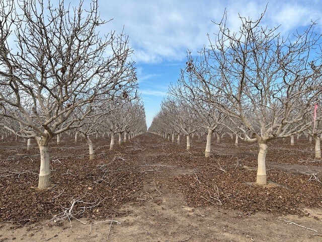 More Photos Of Bassett Ave, Delano Land For Sale