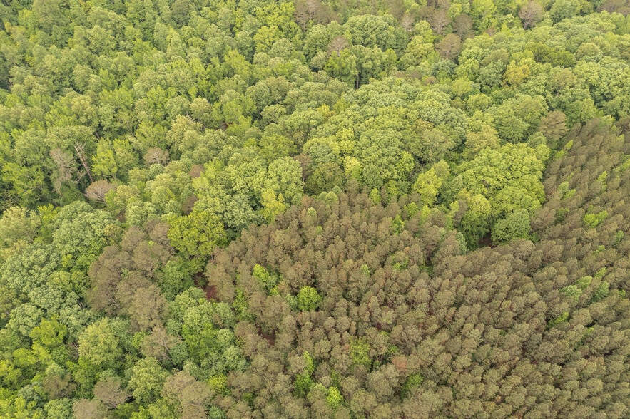 More Photos Of HWY 515 & Hidden Creek rd, Jasper Land For Sale