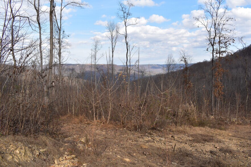 More Photos Of 126 Bolton Point Rd, South Pittsburg Land For Sale