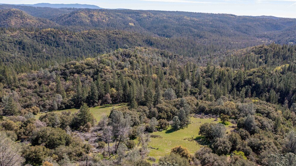 More Photos Of 18800 Charleston Rd, Volcano Land For Sale