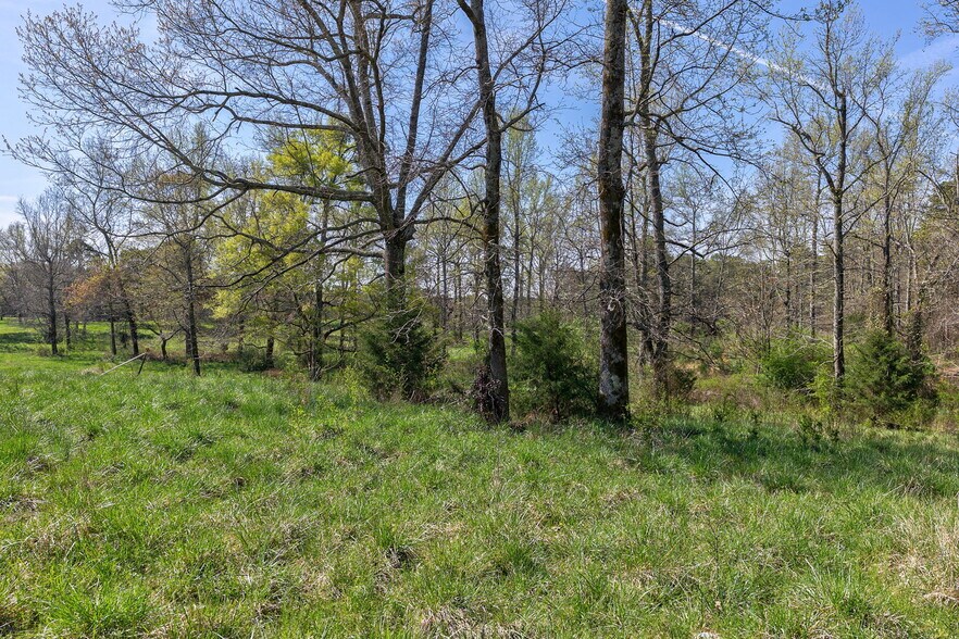 More Photos Of 8986 U.S. 29 S, Hull Land For Sale