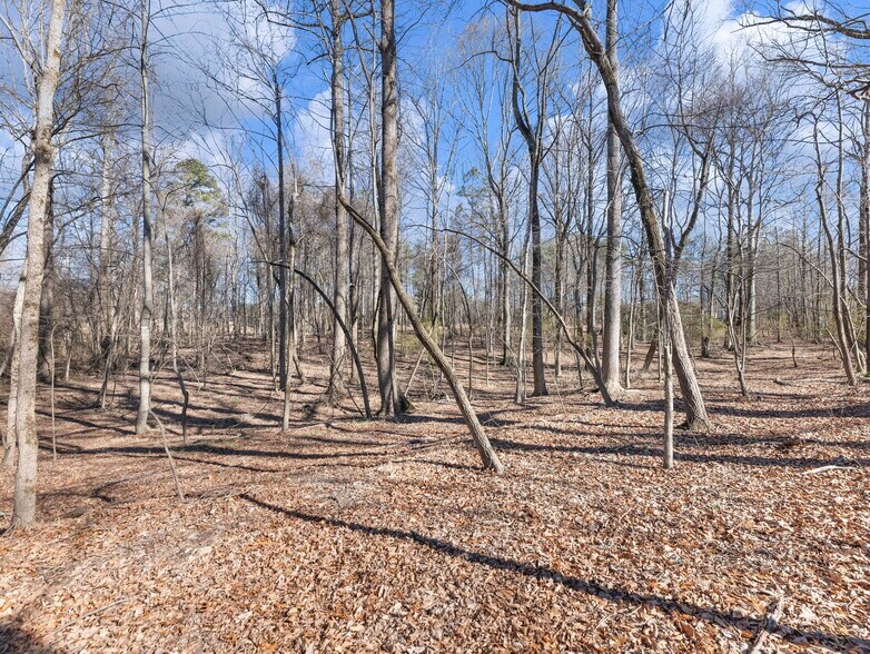 More Photos Of 5555 McEver Rd, Flowery Branch Land For Sale