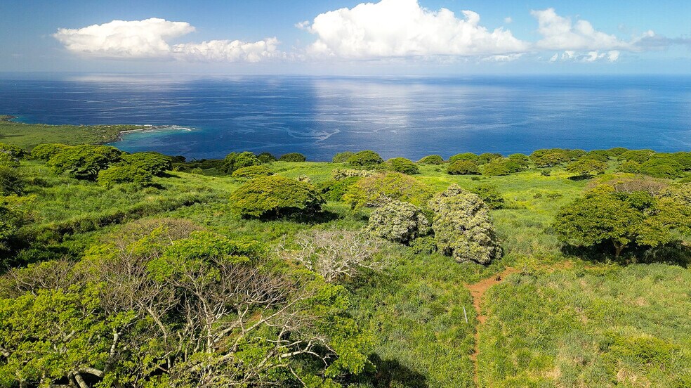 More Photos Of 82-6159 Napoopoo Rd, Captain Cook Land For Sale