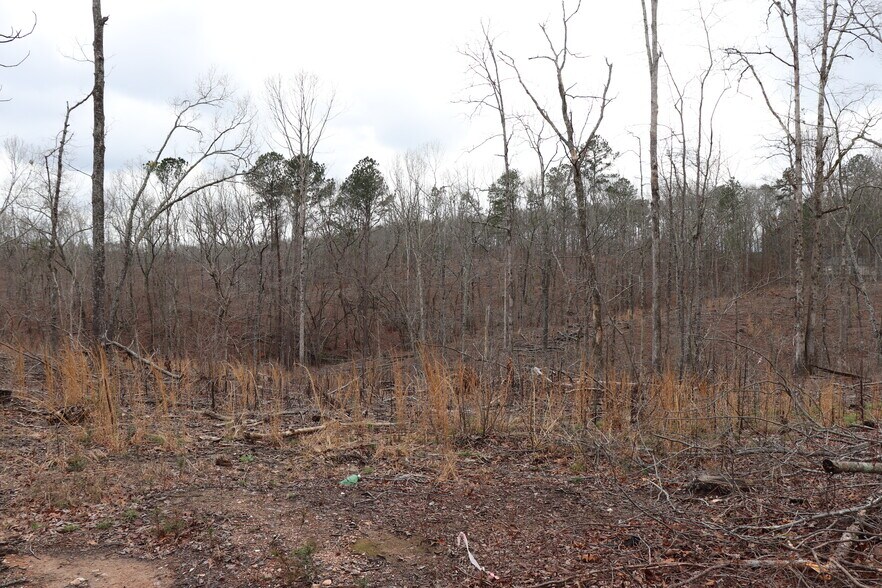 More Photos Of Knox Bridge Hwy @ Knox Bridge & Ficklen Church Hwy, Canton Land For Sale