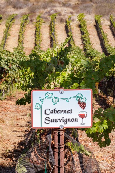 More Photos Of 2286 Sunshine Mountain Rd, San Marcos Winery Vineyard For Sale