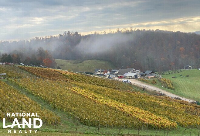 More Photos Of 3899 Eakin Farm Rd, Blacksburg Winery Vineyard For Sale