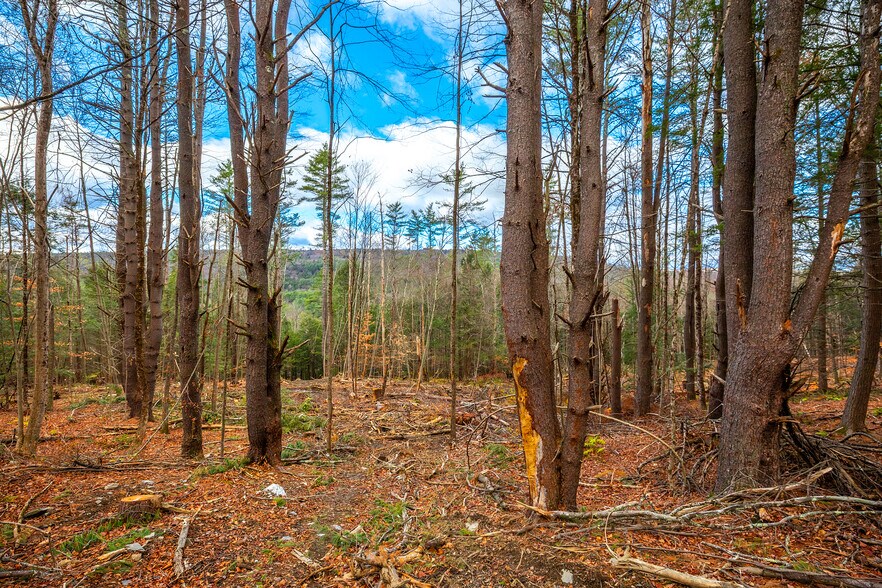 More Photos Of 40 E Putney Brook Rd, Putney Land For Sale