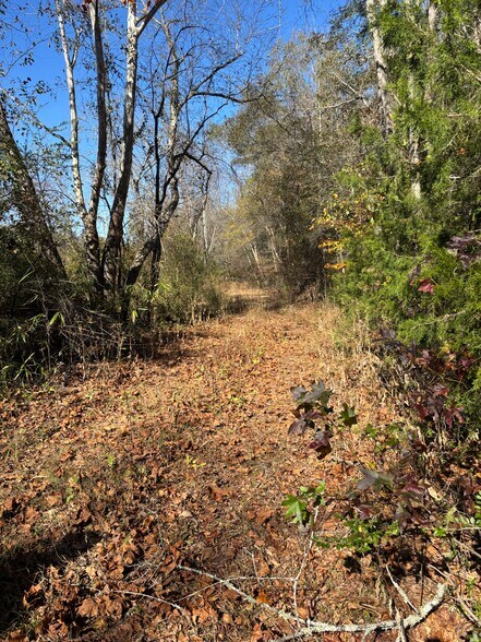 More Photos Of 169 Stone Dr, Belton Land For Sale