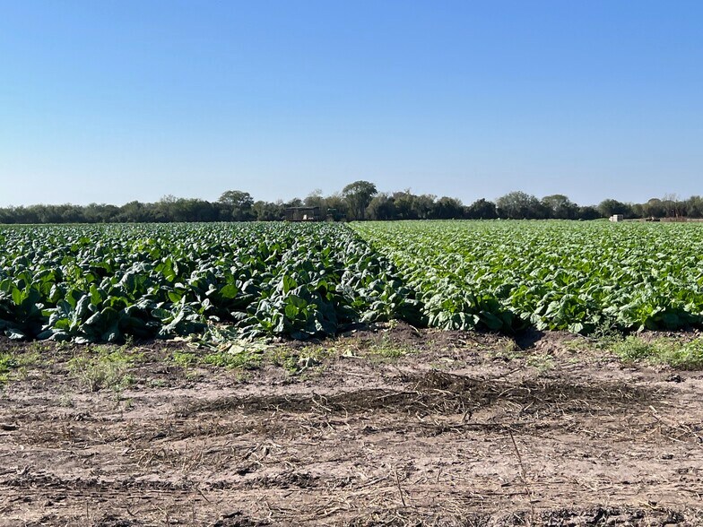 More Photos Of 271.62 Acs on West side of Pharr Intl. Bridge, Pharr Land For Sale