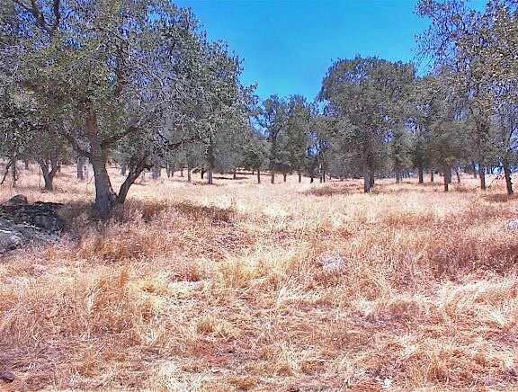 More Photos Of 38176 Cardinal, Yokuts Valley Land For Sale