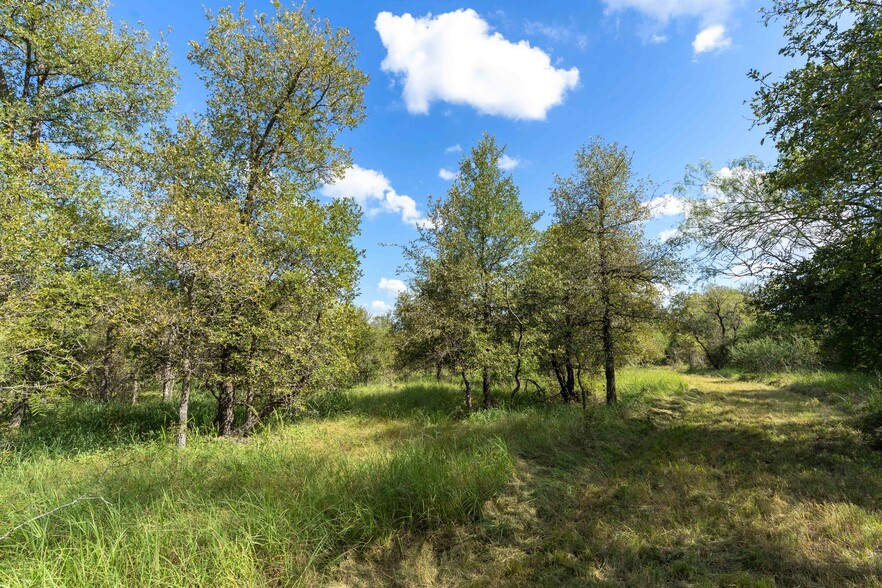 Primary Photo Of S Hwy 183, Lockhart Land For Sale