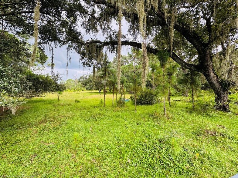 More Photos Of Detjens Dairy Road, Venus Land For Sale