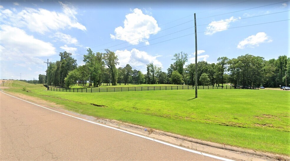 More Photos Of 230 Highway 51 S, Hernando Land For Sale