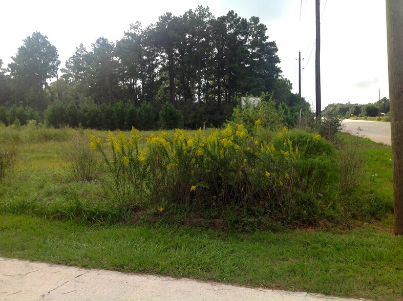 More Photos Of 23920-24210 FM 2978, Tomball Land For Sale