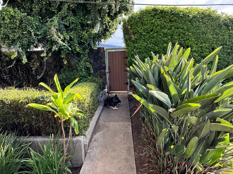 More Photos Of 3135 Lower Kula Rd, Kula Storefront Retail Office For Sale