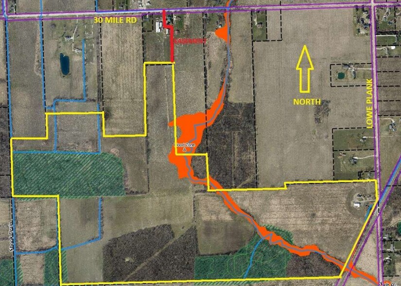 Primary Photo Of 63949 Lowe Plank Rd, Lenox Land For Sale