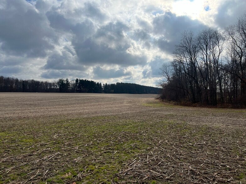 More Photos Of 0 V/L Green St., Springport Land For Sale