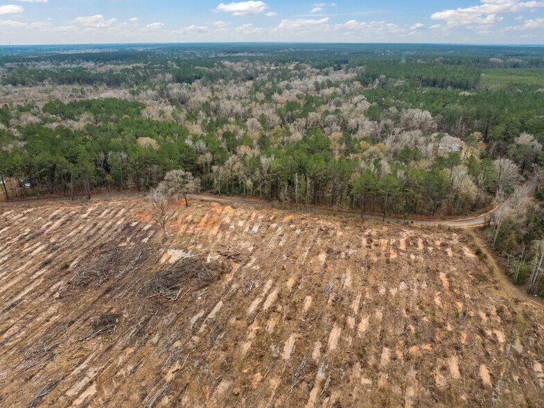 More Photos Of TBD 25 acres Tatoo Road, Glenmora Land For Sale