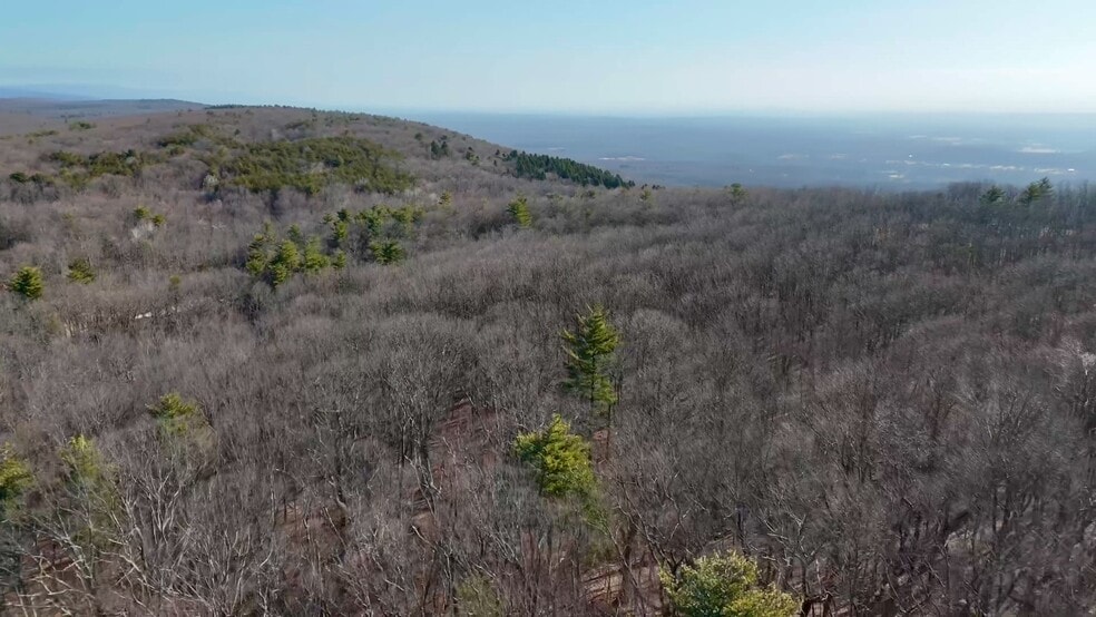 Primary Photo Of 411 Old Mountain Rd, Otisville Land For Sale