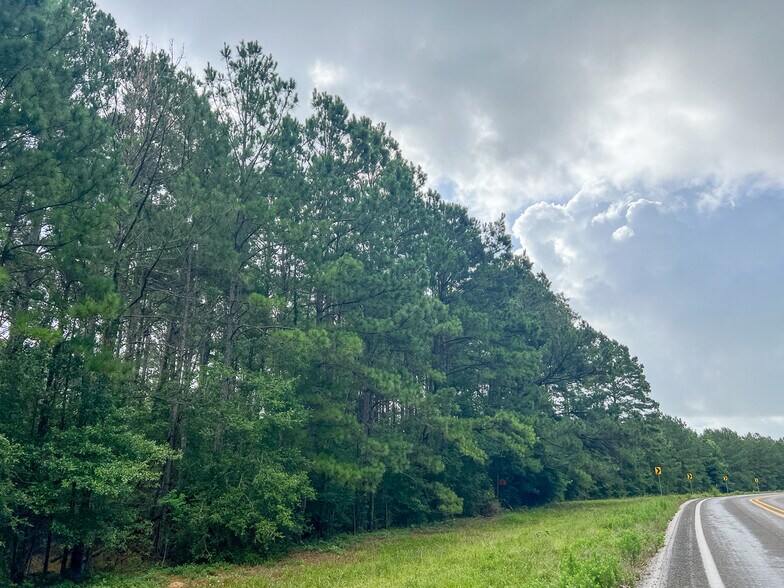More Photos Of 00 FM 2793, New Waverly Land For Sale