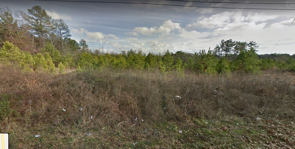 More Photos Of 2400 Bruce St, Lithonia Land For Sale