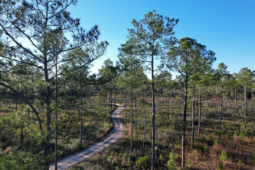 More Photos Of 7009 Creek Stone Rd, Milton Lodge Meeting Hall For Sale