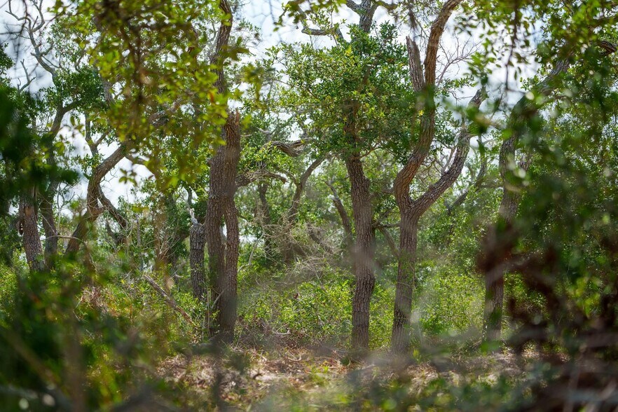 More Photos Of 704 South Highway 35 Byp, Rockport Land For Sale