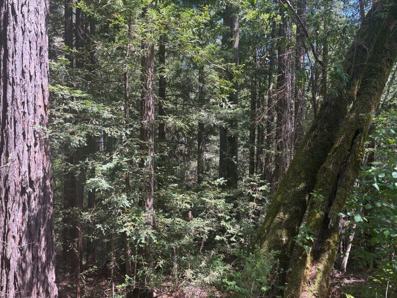 More Photos Of 21380 Siri rd, Guerneville Land For Sale