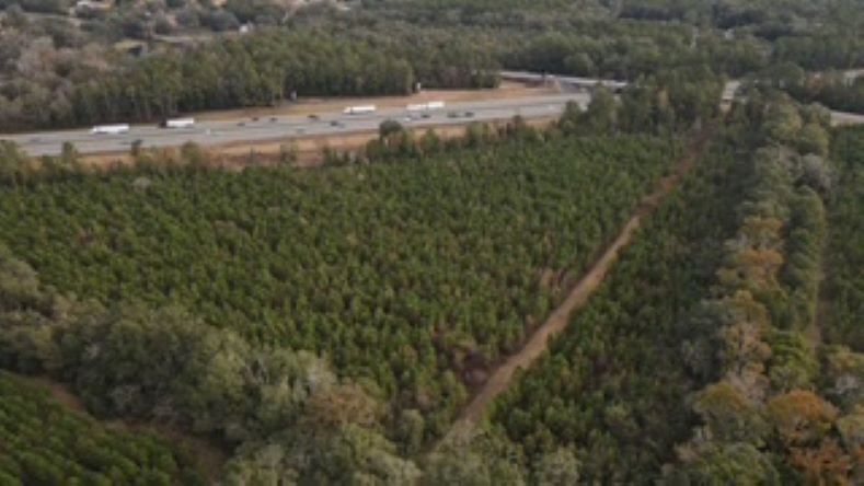 More Photos Of 10602 NW 143rd St, Alachua Land For Sale