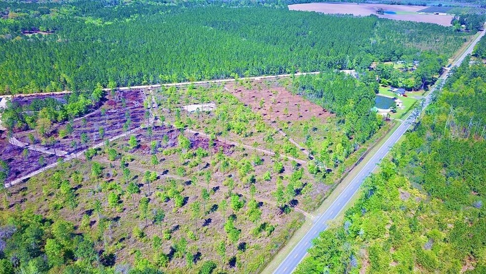 More Photos Of 8 Acres Hwy 221 hwy, Lakeland Land For Sale