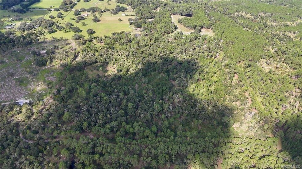 More Photos Of 20271 81st Terrace, Inglis Land For Sale