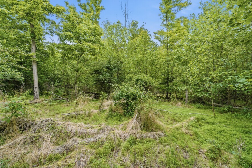 More Photos Of 30-Acres Wolfpen Pleasant Hill Rd, Day Heights Land For Sale