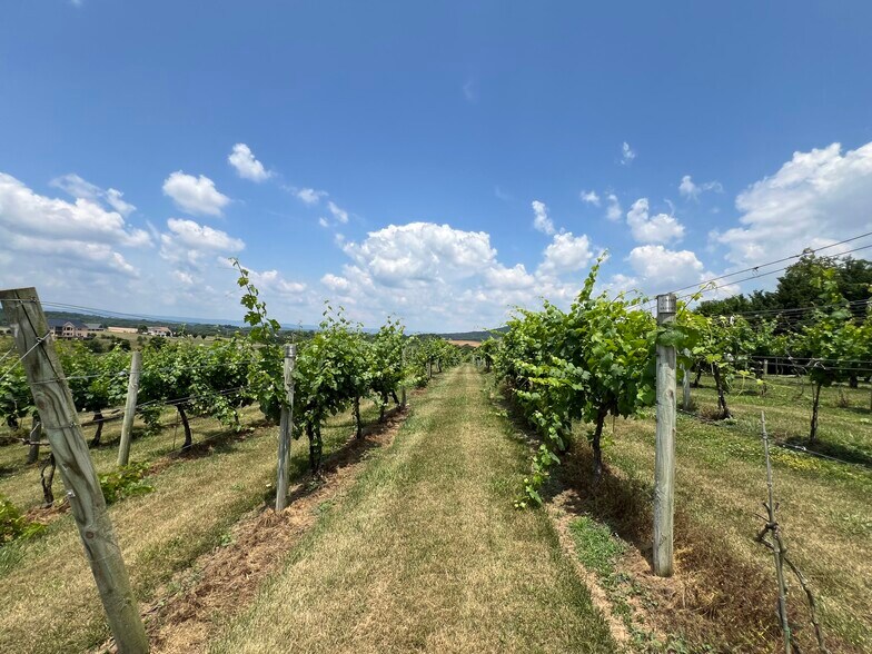 More Photos Of 2110 Quicksburg Rd, Quicksburg Land For Sale