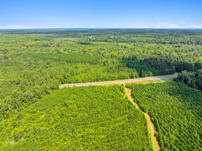 More Photos Of 7471 Highway 155, Saline Land For Sale